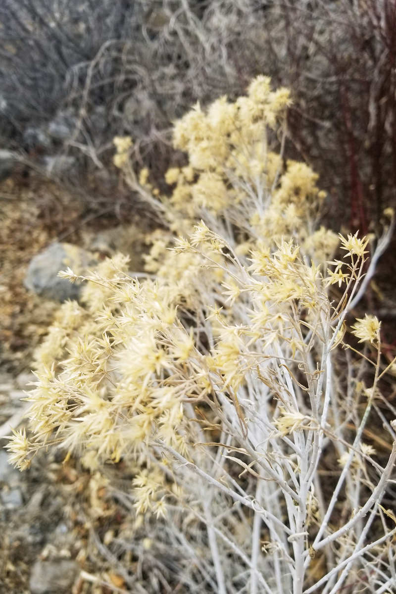 Feb 18 on 18 no4 Feb 18 on 18 no4