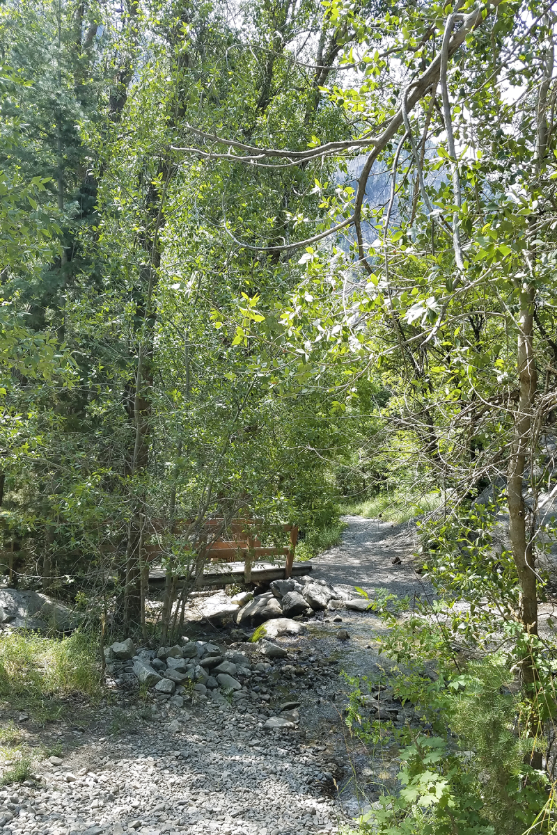 Squawk peak trail no1 Squawk peak trail no1