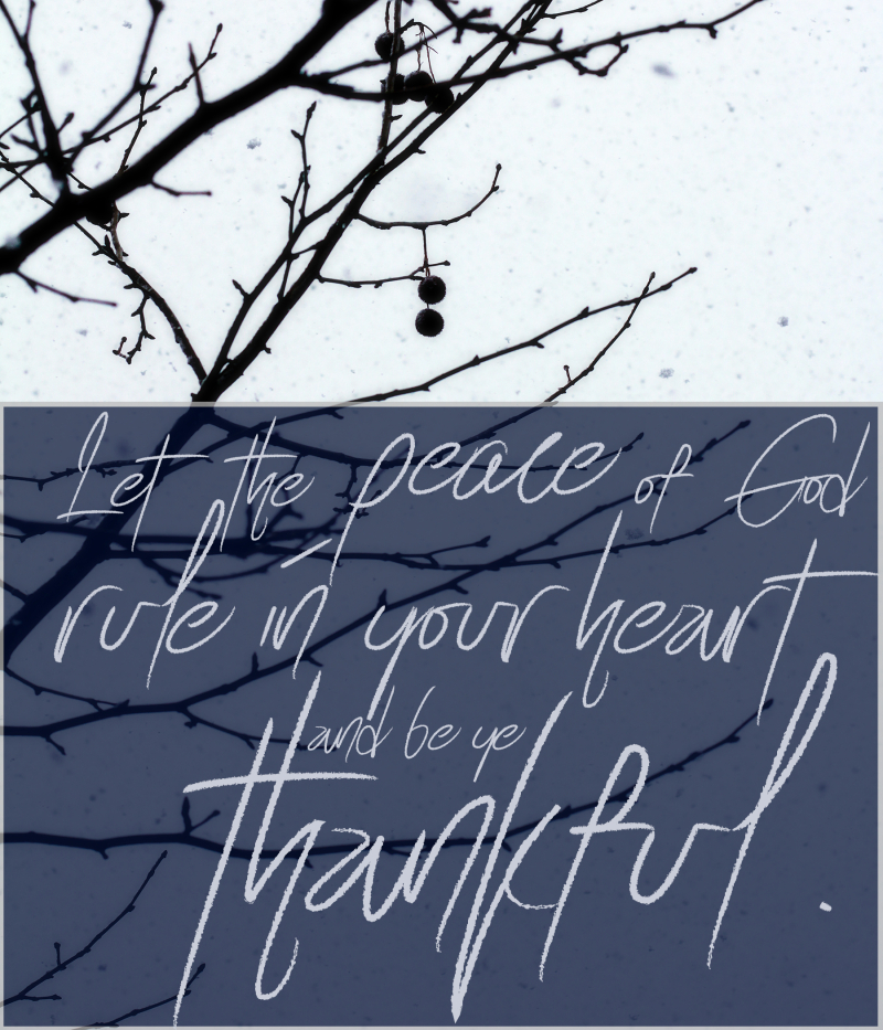 Colossians 3 15 Colossians 3 15