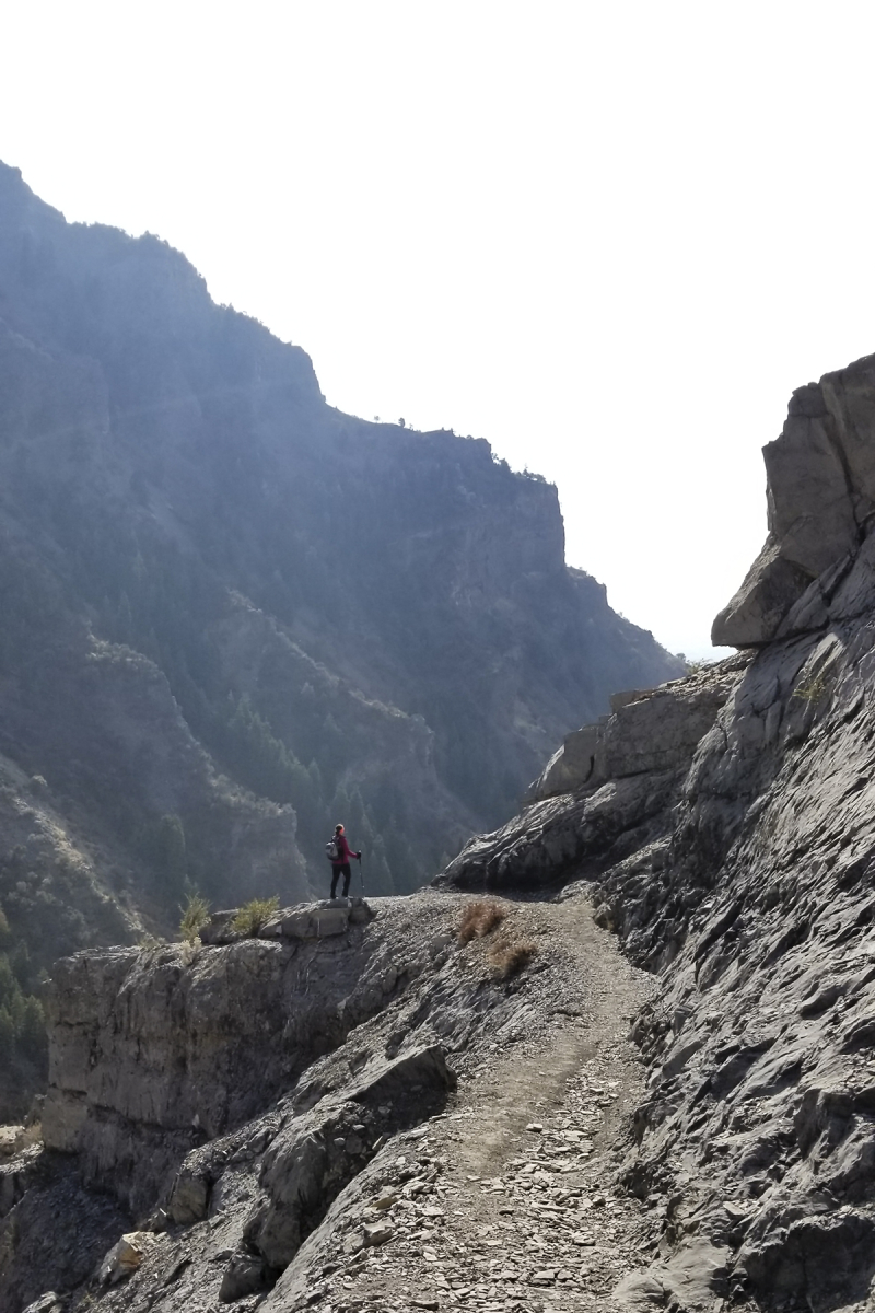 20181118_123811 grove creek 4x6 20181118_123811 grove creek 4x6