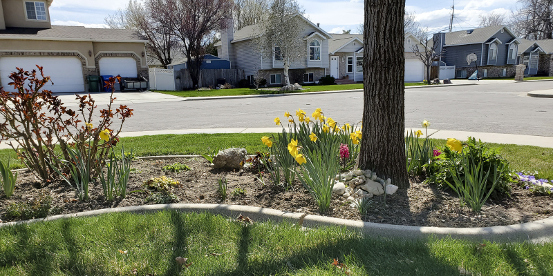 20200404_151322 spring in the garden 20200404_151322 spring in the garden